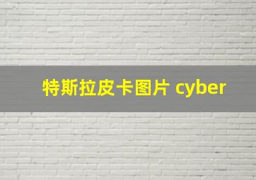 特斯拉皮卡图片 cyber